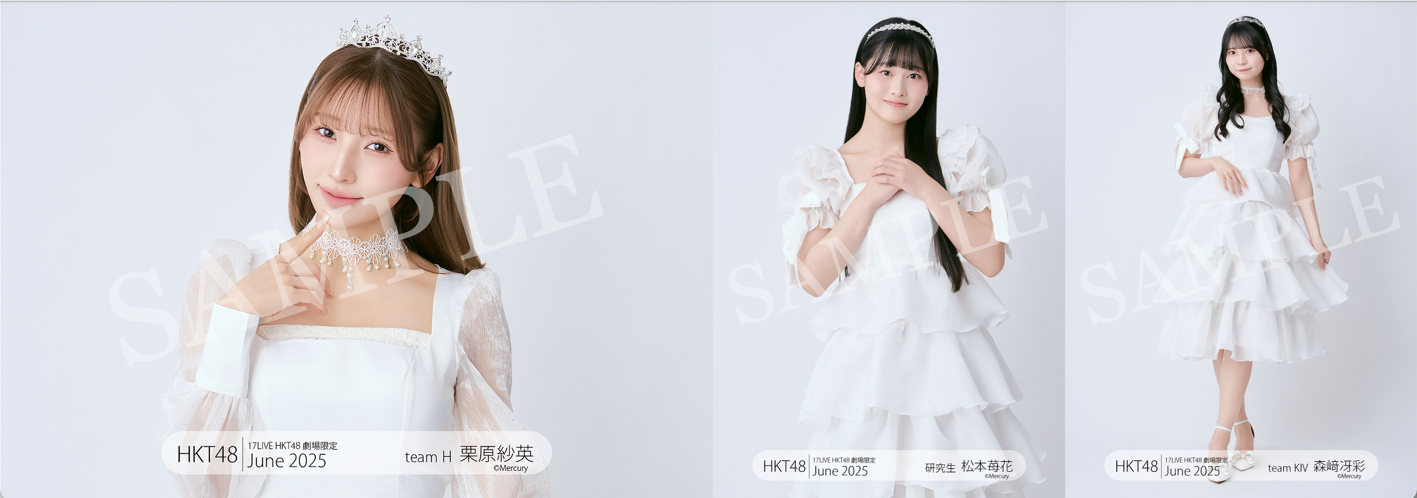 HKT48 ツアー生写真 コンプ HKT48 OFFICIAL GOODS STORE